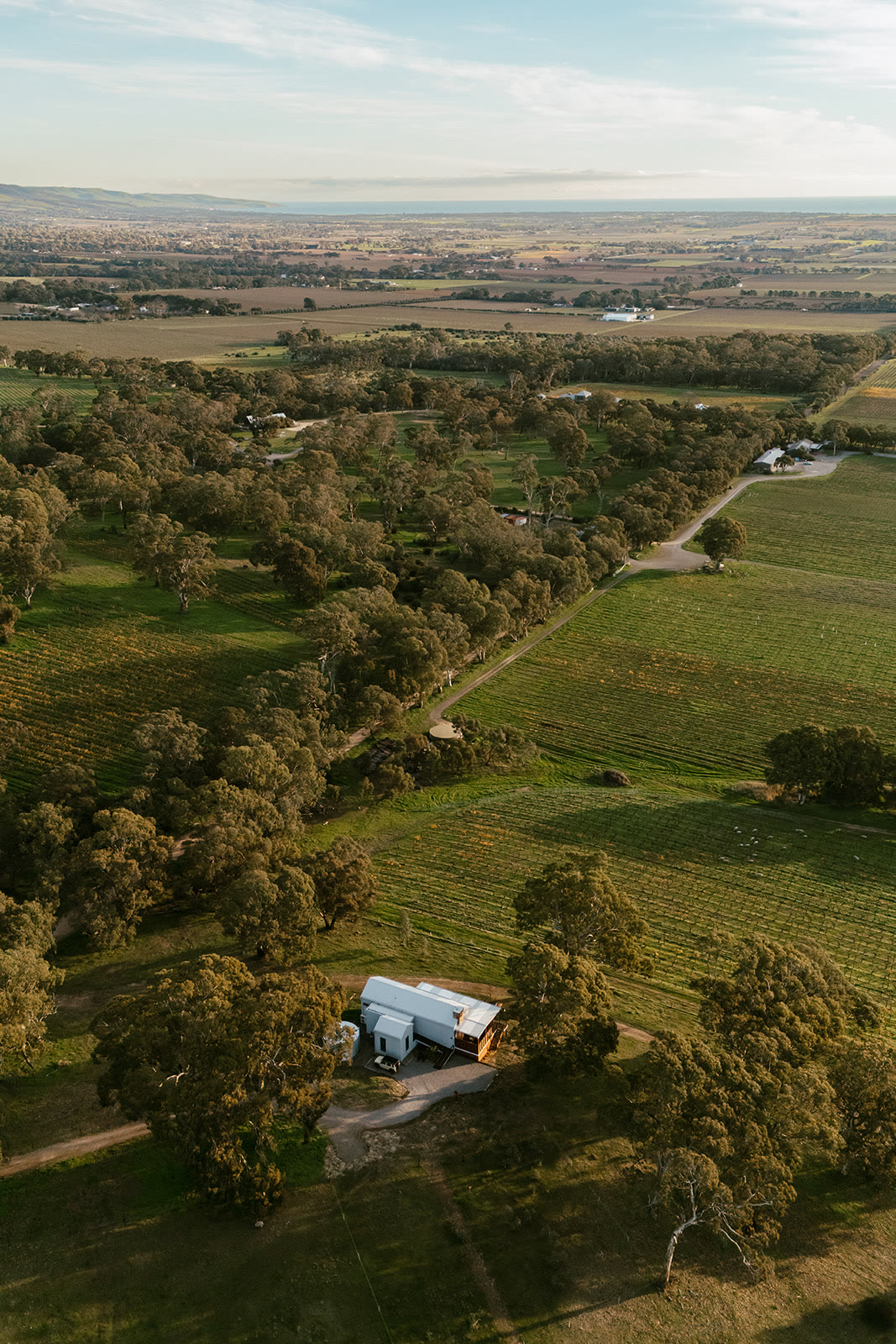 Aerial view over the farm towards the McLaren Vale plain and the coast