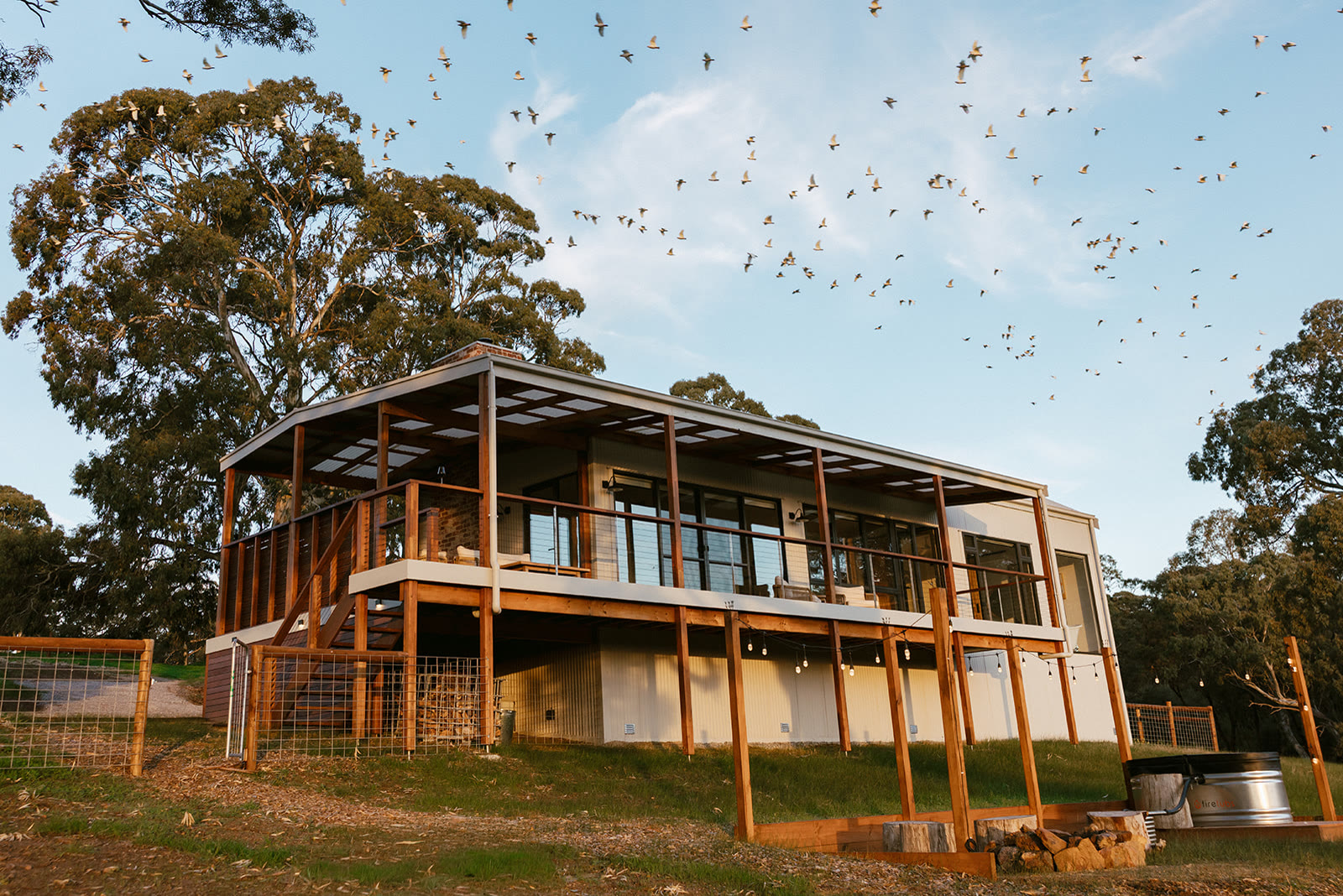 A Monapilla Escape villa at golden hour with a flock of birds overhead