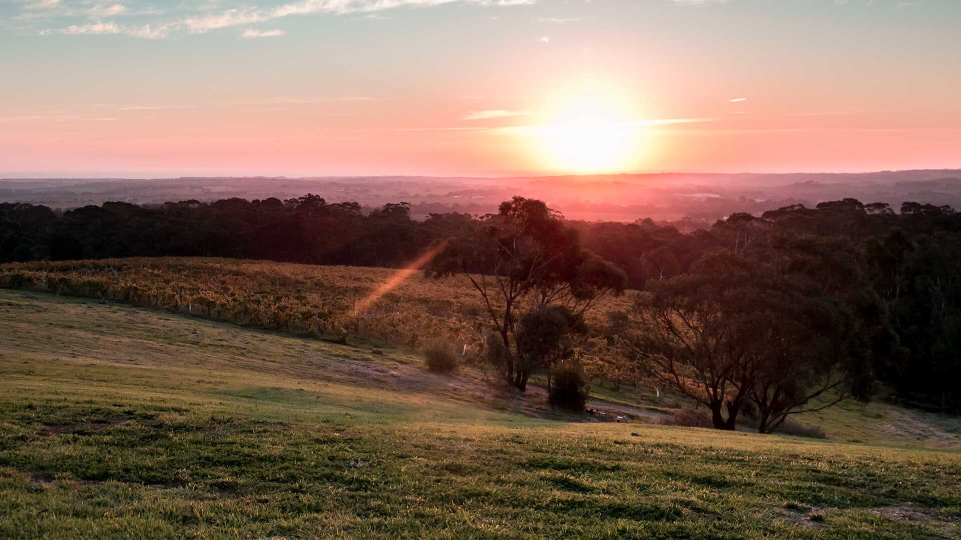Sunset over the rolling paddocks and gum trees of The Range